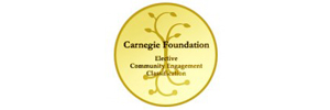 Carnegie Awards